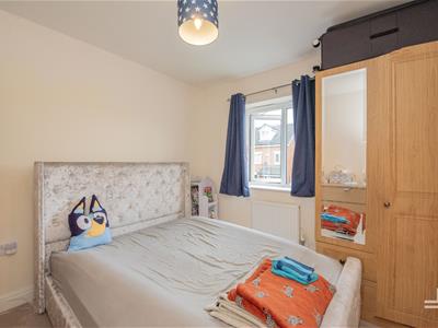 Picture 20